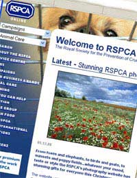 Rescue Centre Animal Shelter Rspca Pet