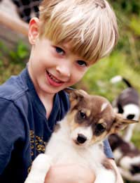 Adopting A Pet: What Do Rescue Centres Look For?