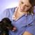 Neutering Options for Rescue Pets